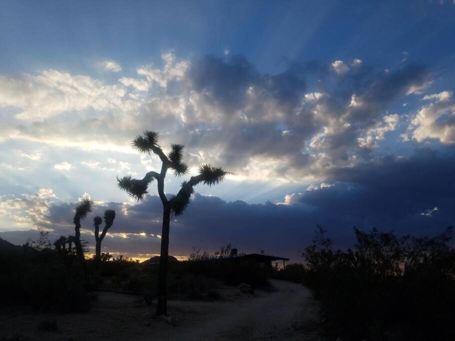 Steph'S Panorama Paradise-Nat'L Park Minutes Away Joshua Tree Exterior photo