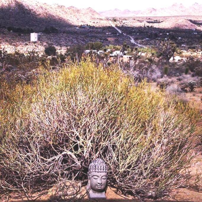 Steph'S Panorama Paradise-Nat'L Park Minutes Away Joshua Tree Exterior photo