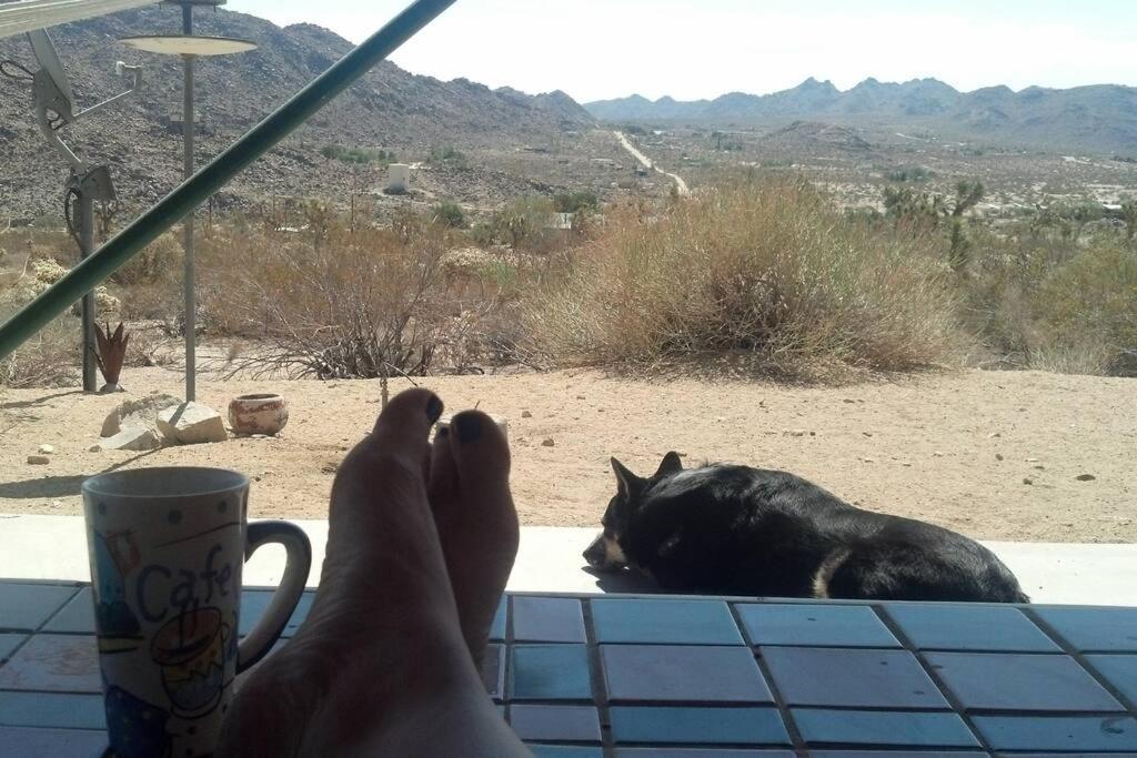 Steph'S Panorama Paradise-Nat'L Park Minutes Away Joshua Tree Exterior photo