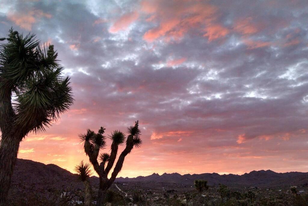 Steph'S Panorama Paradise-Nat'L Park Minutes Away Joshua Tree Exterior photo