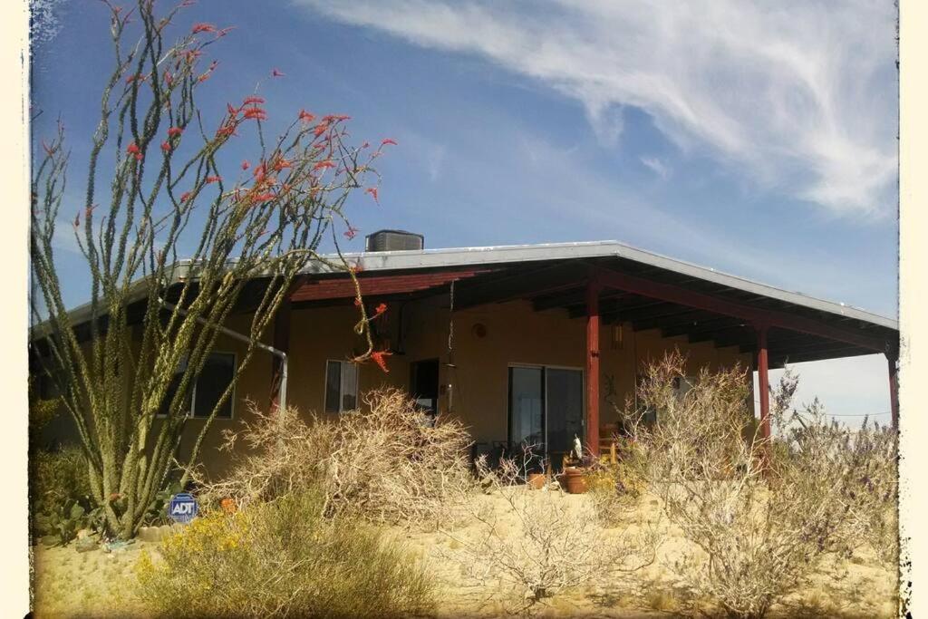 Steph'S Panorama Paradise-Nat'L Park Minutes Away Joshua Tree Exterior photo